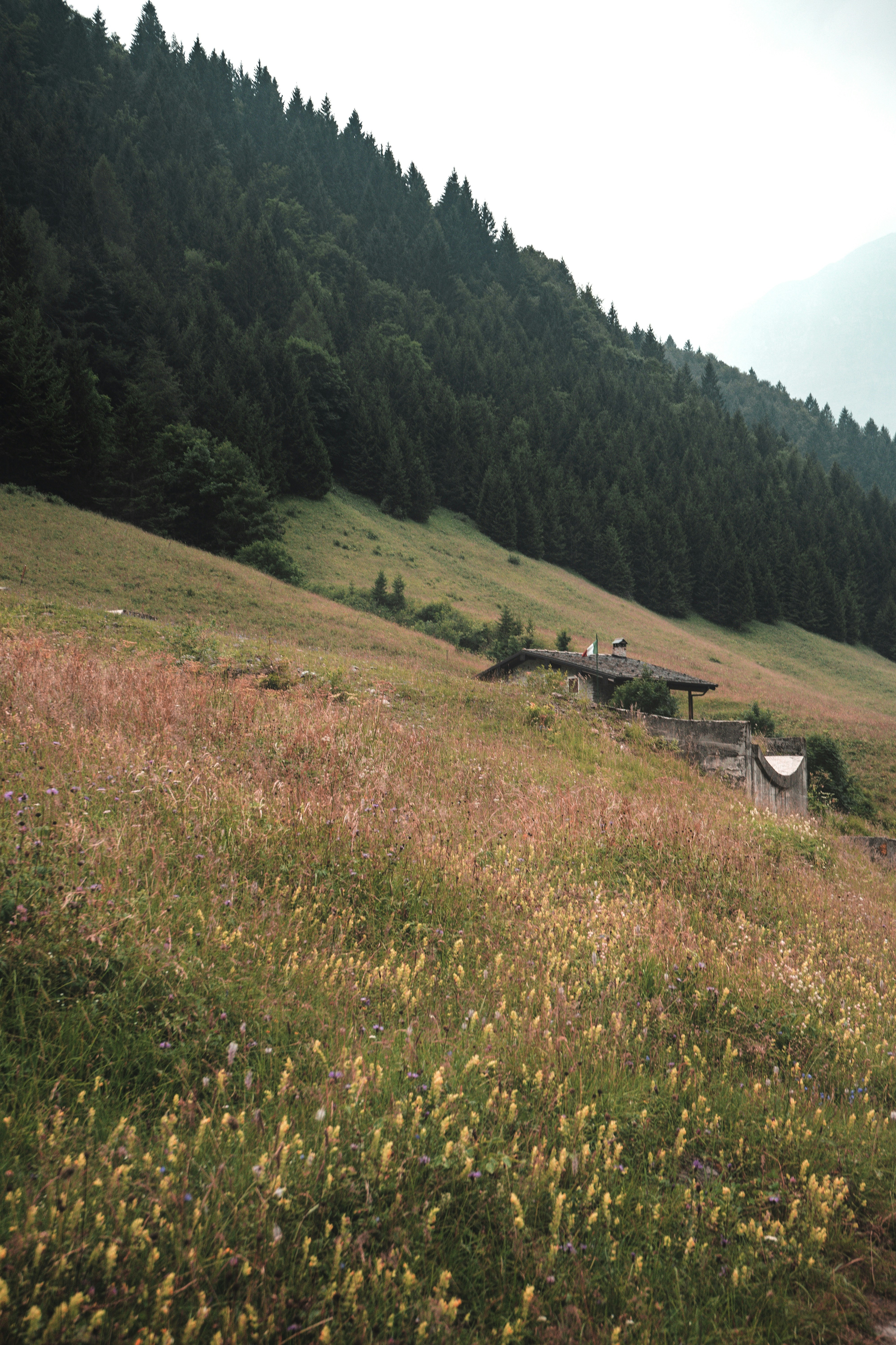 Photo by giordanorossoni