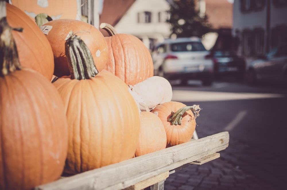 orange pumpkins