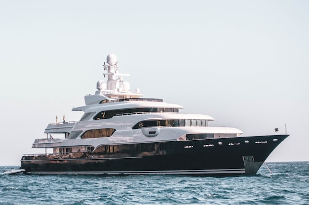 white and black cruise ship