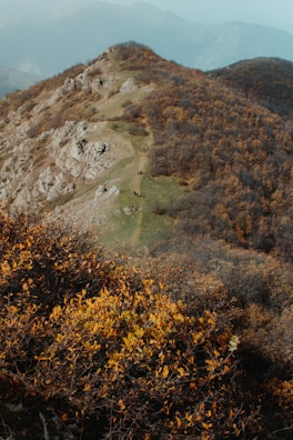 Close-up aerial perspective of a mountain trail surrounded by autumn foliage.