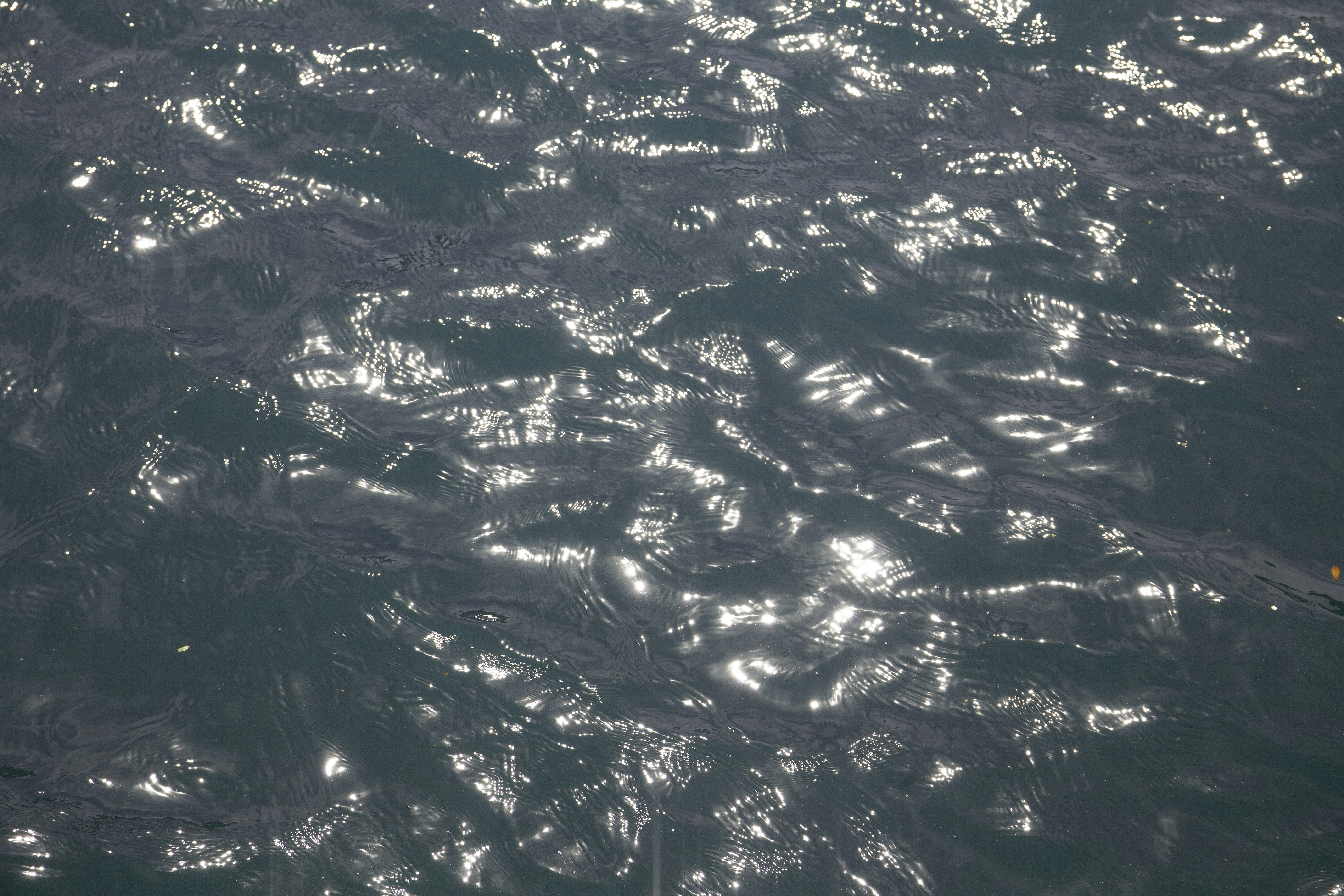 Photo by artbyhybrid