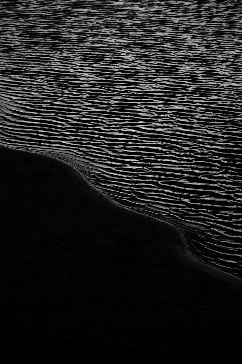 Una foto in bianco e nero di uno specchio d'acqua