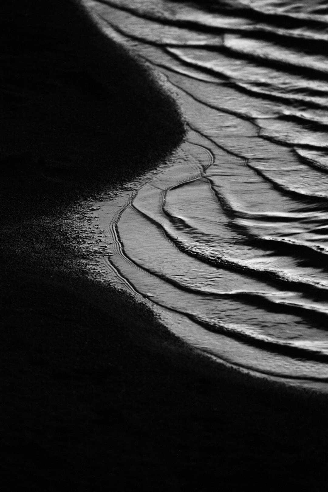 silhouette photo of seashore