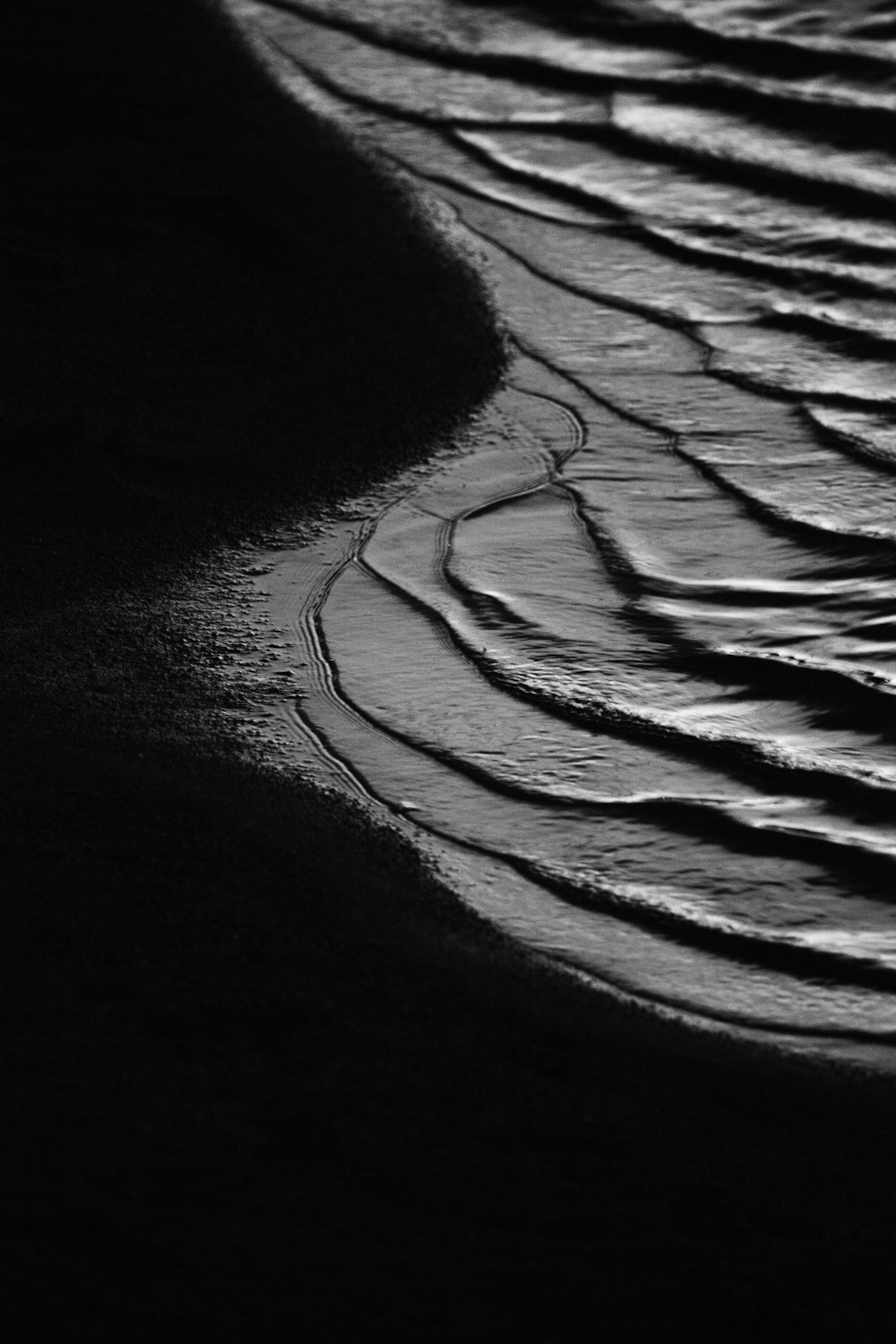 silhouette photo of seashore