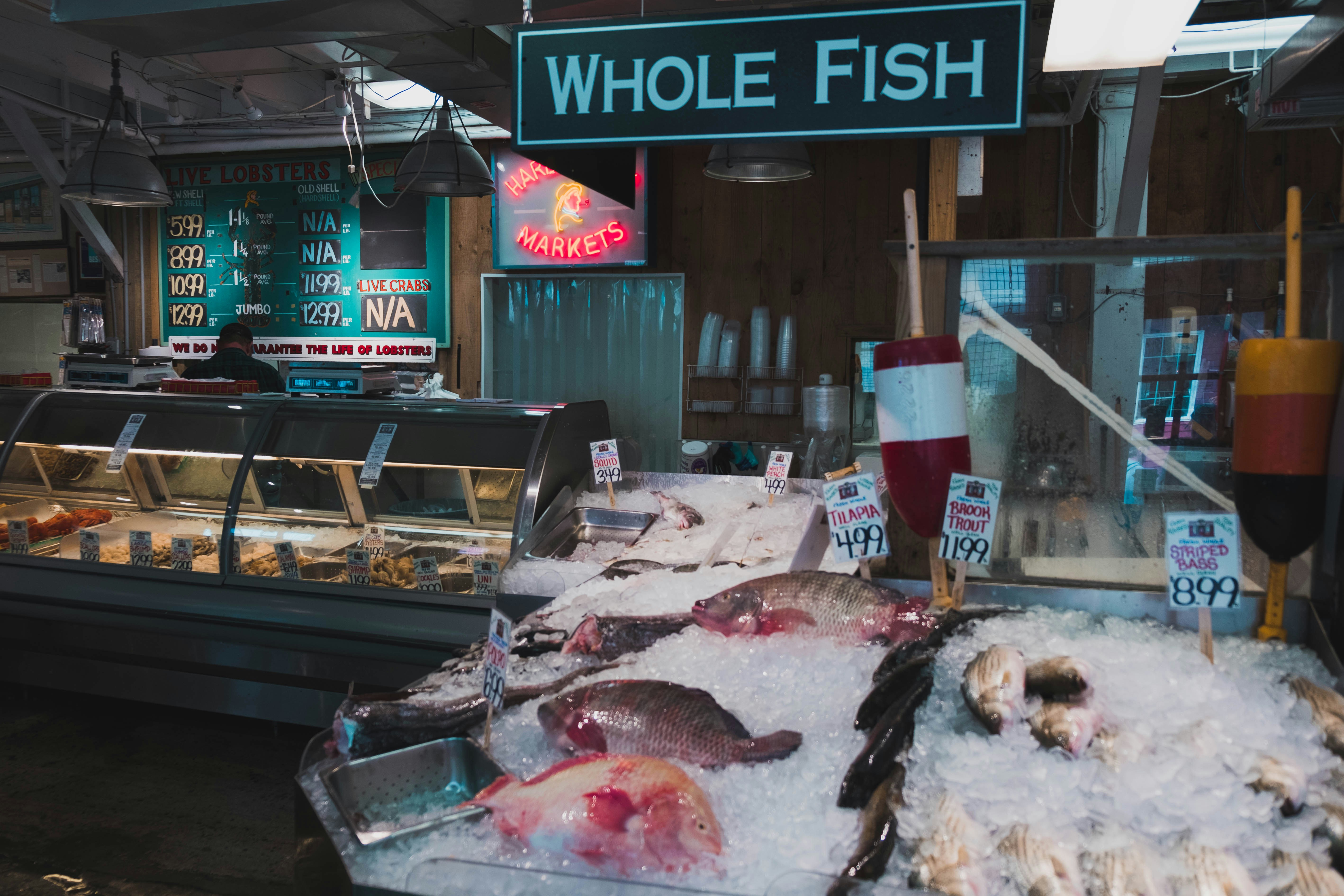 assorted type of fish on display with ice in store, Fish market in Portland, Maine.