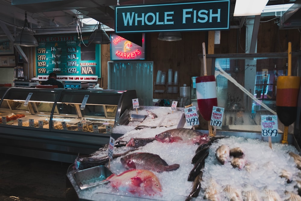 assorted type of fish on display with ice in store