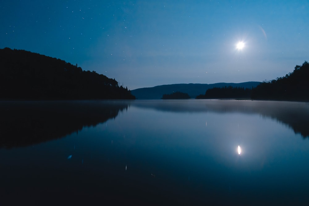 body of water near trees