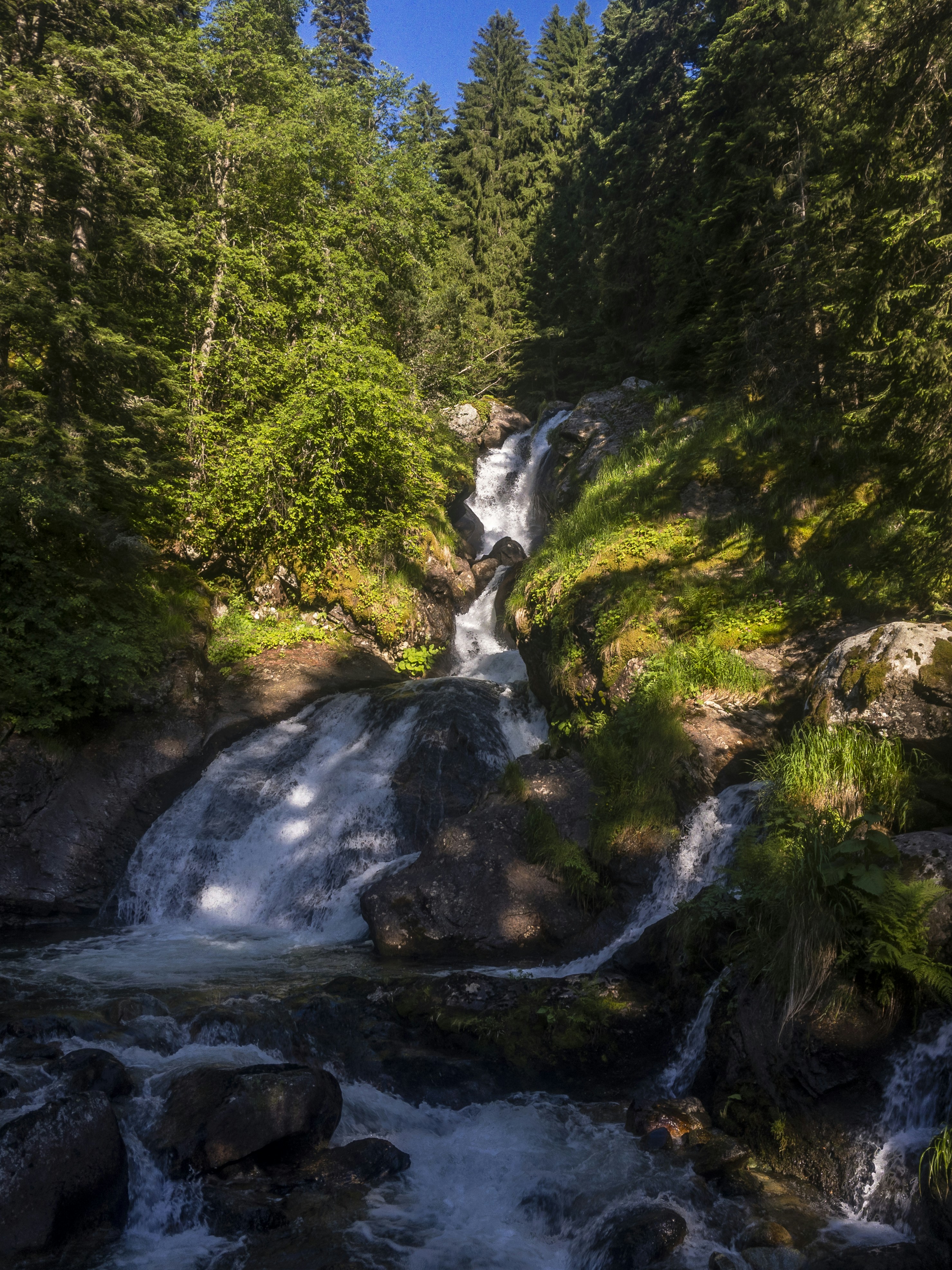 Photo by valeriterziiski