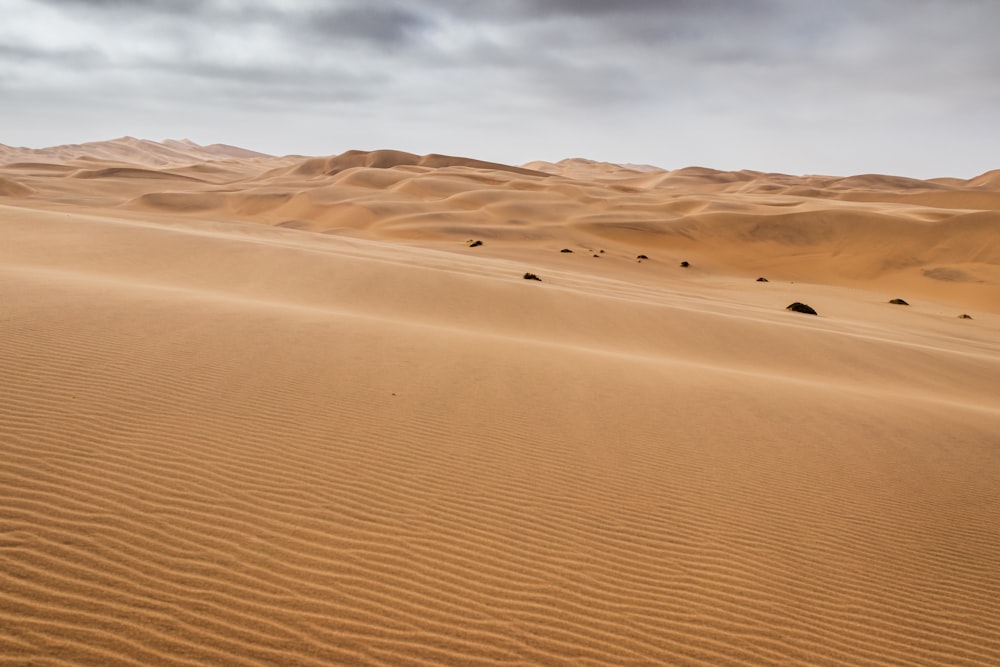 desert under white and gray skies during daytime