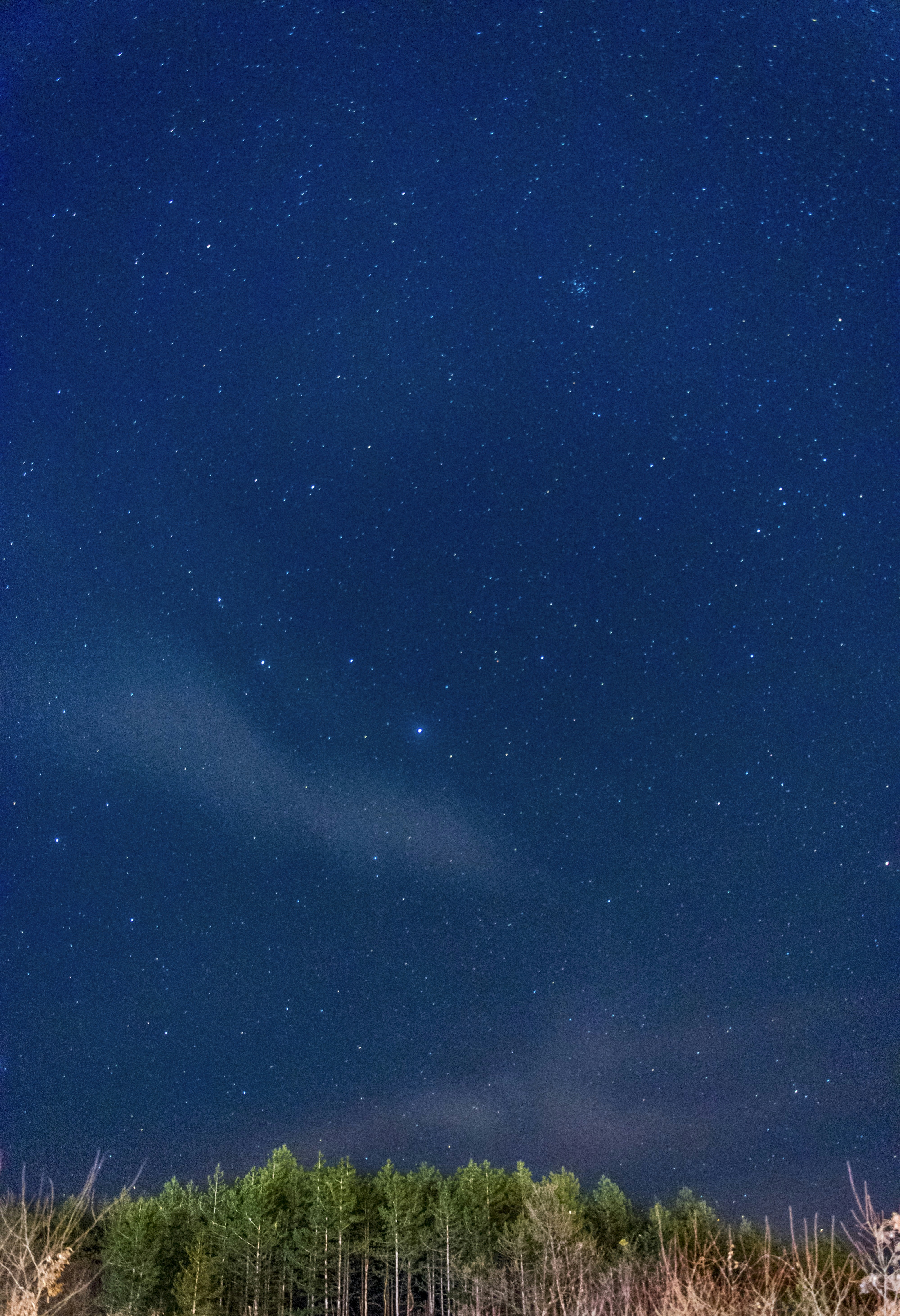 Photo by valeriterziiski