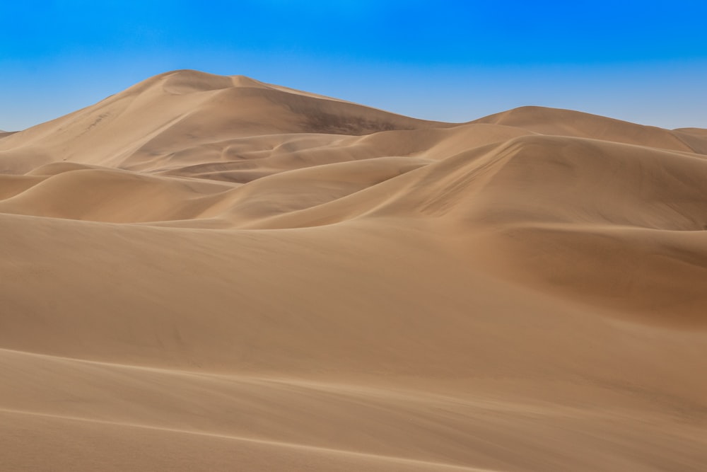 desert dune