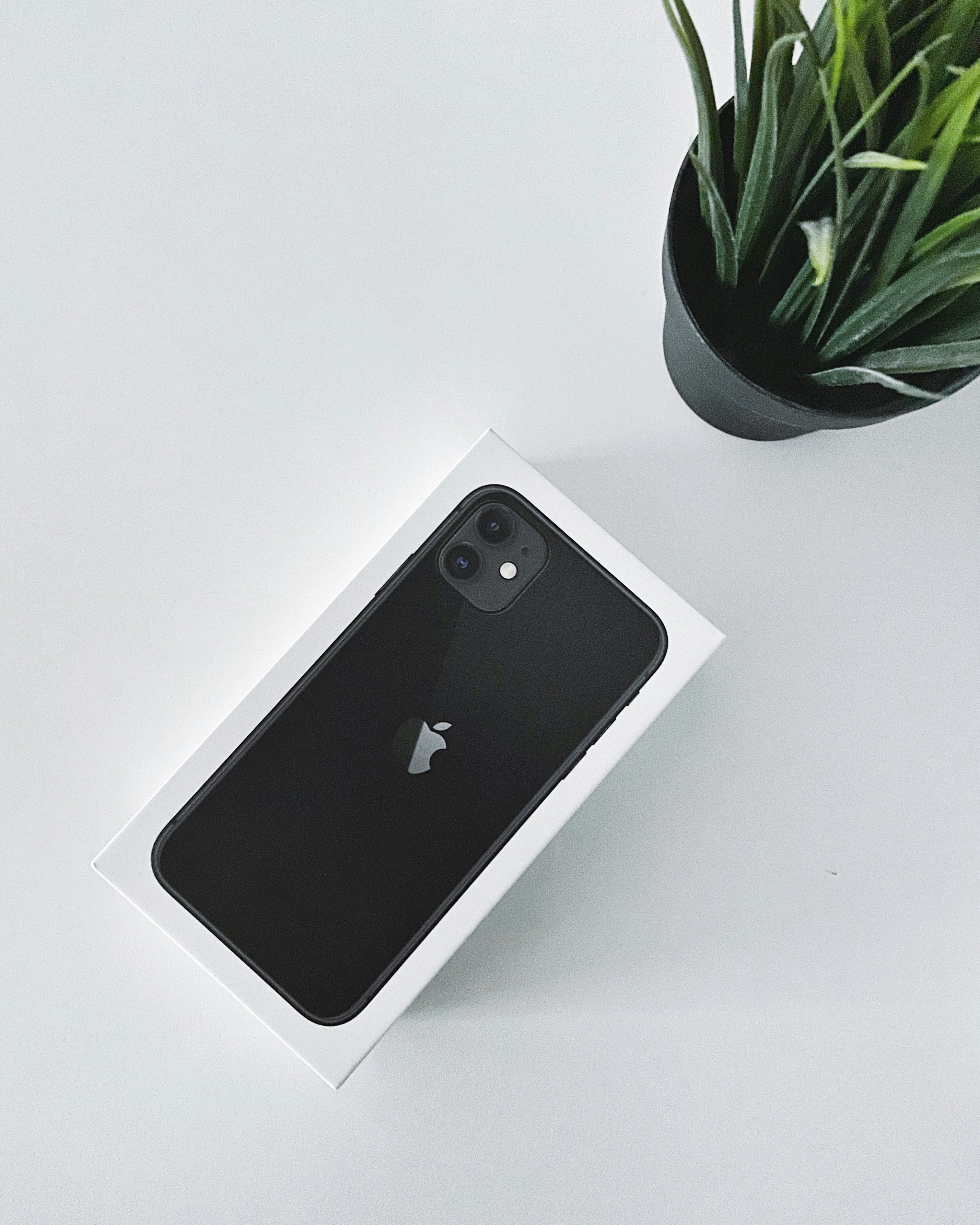 Photo by iamdavid_10