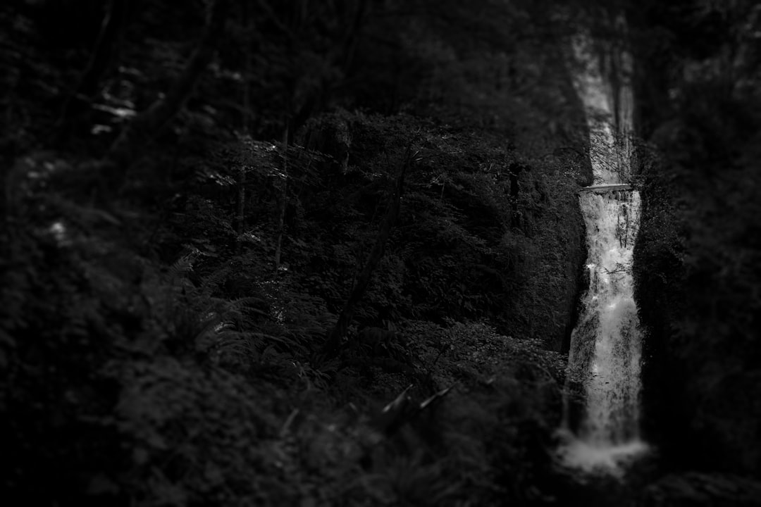 gray scale photo of waterfalls