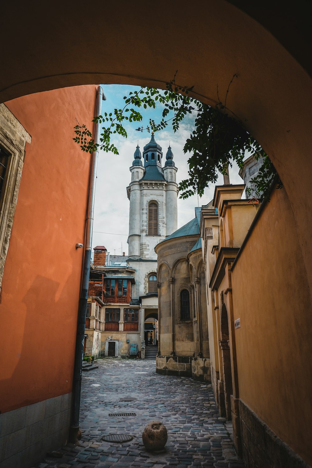 pathway surrounded by building during daytime