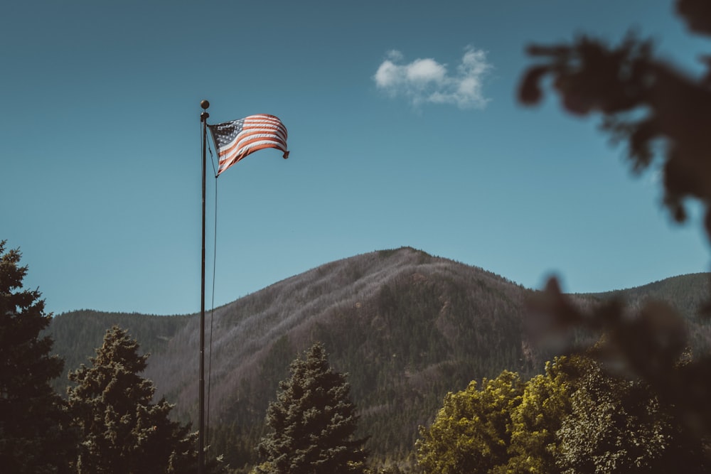 waving USA flag