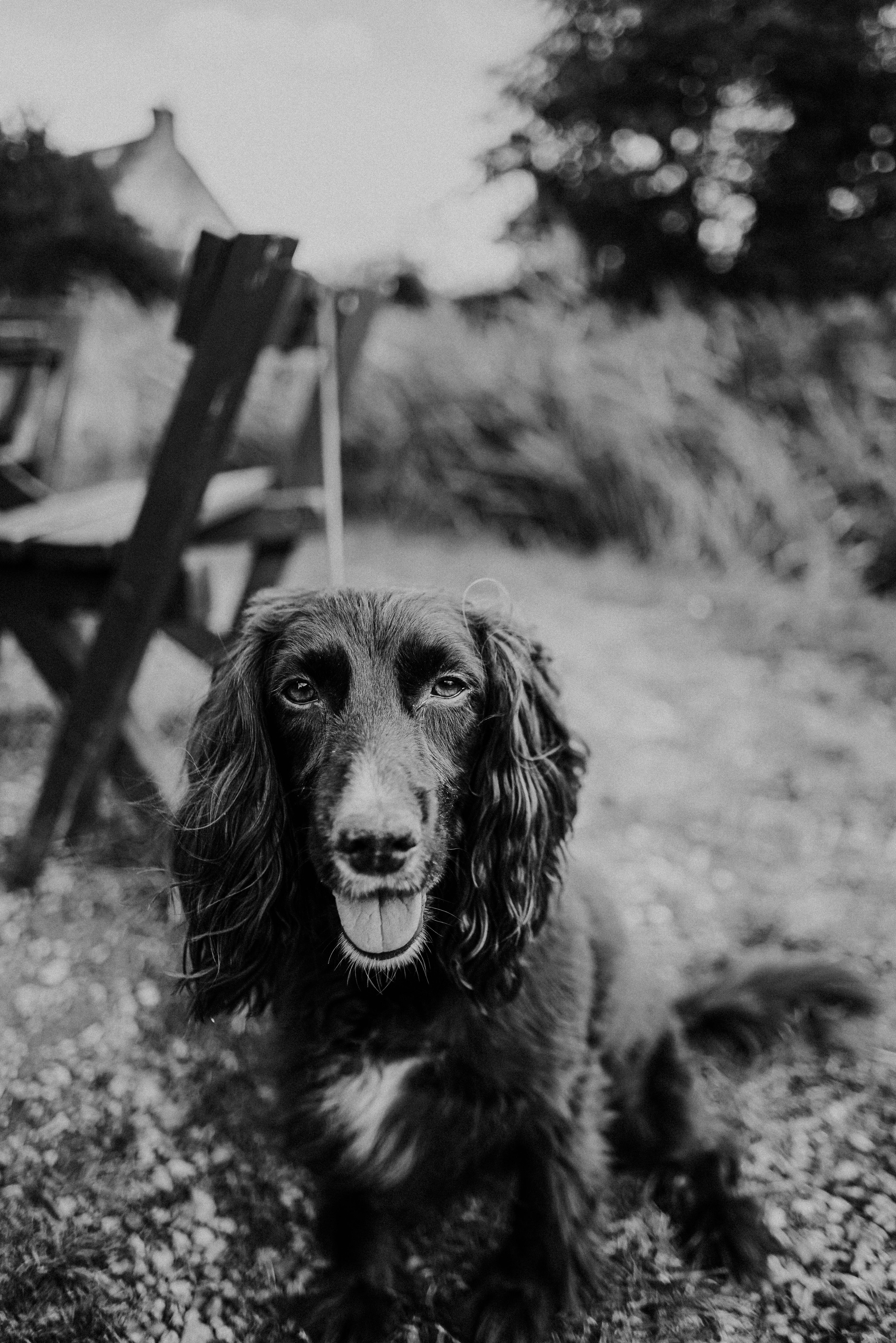 Photo by philhearing