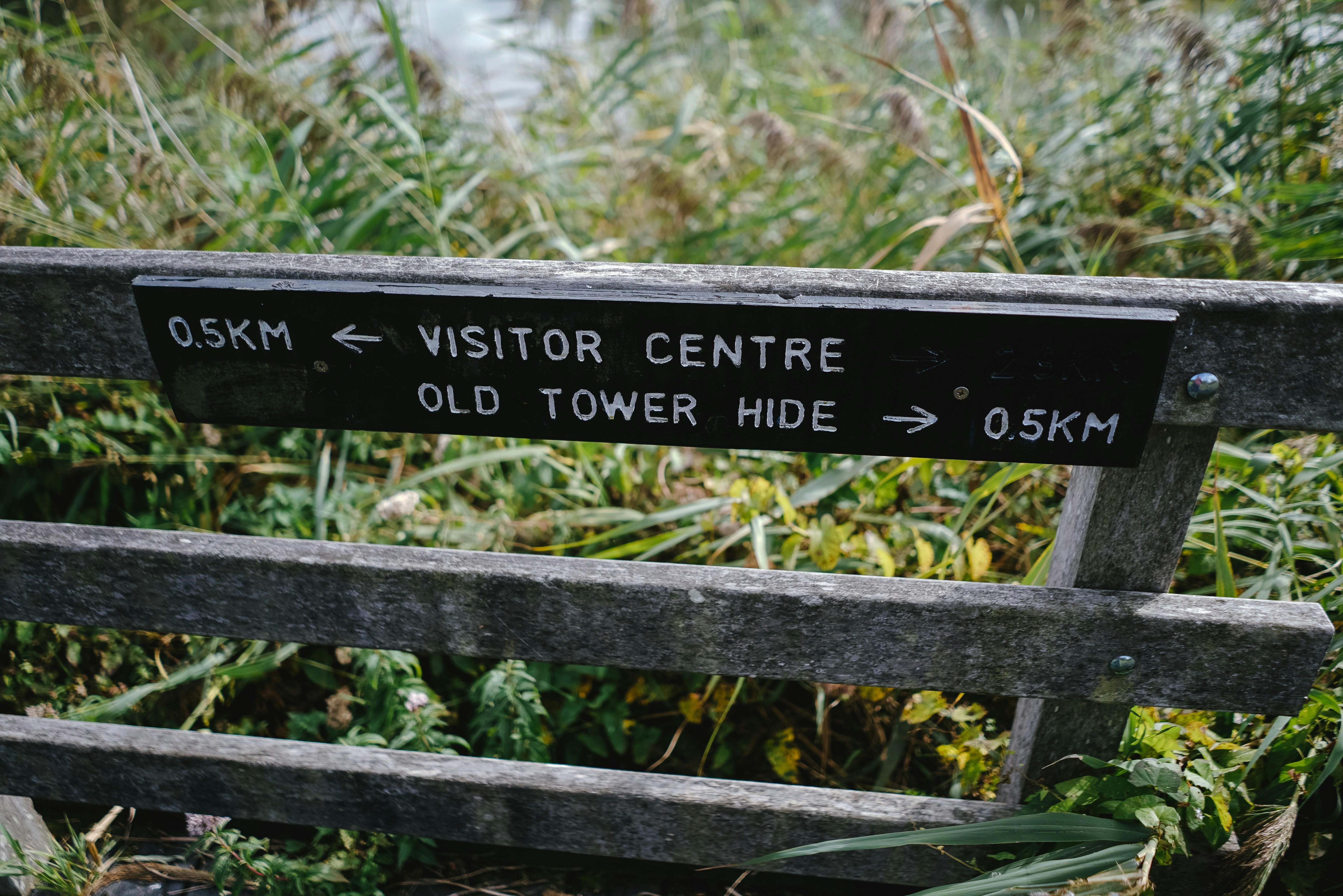 Wicken Fen national trust 