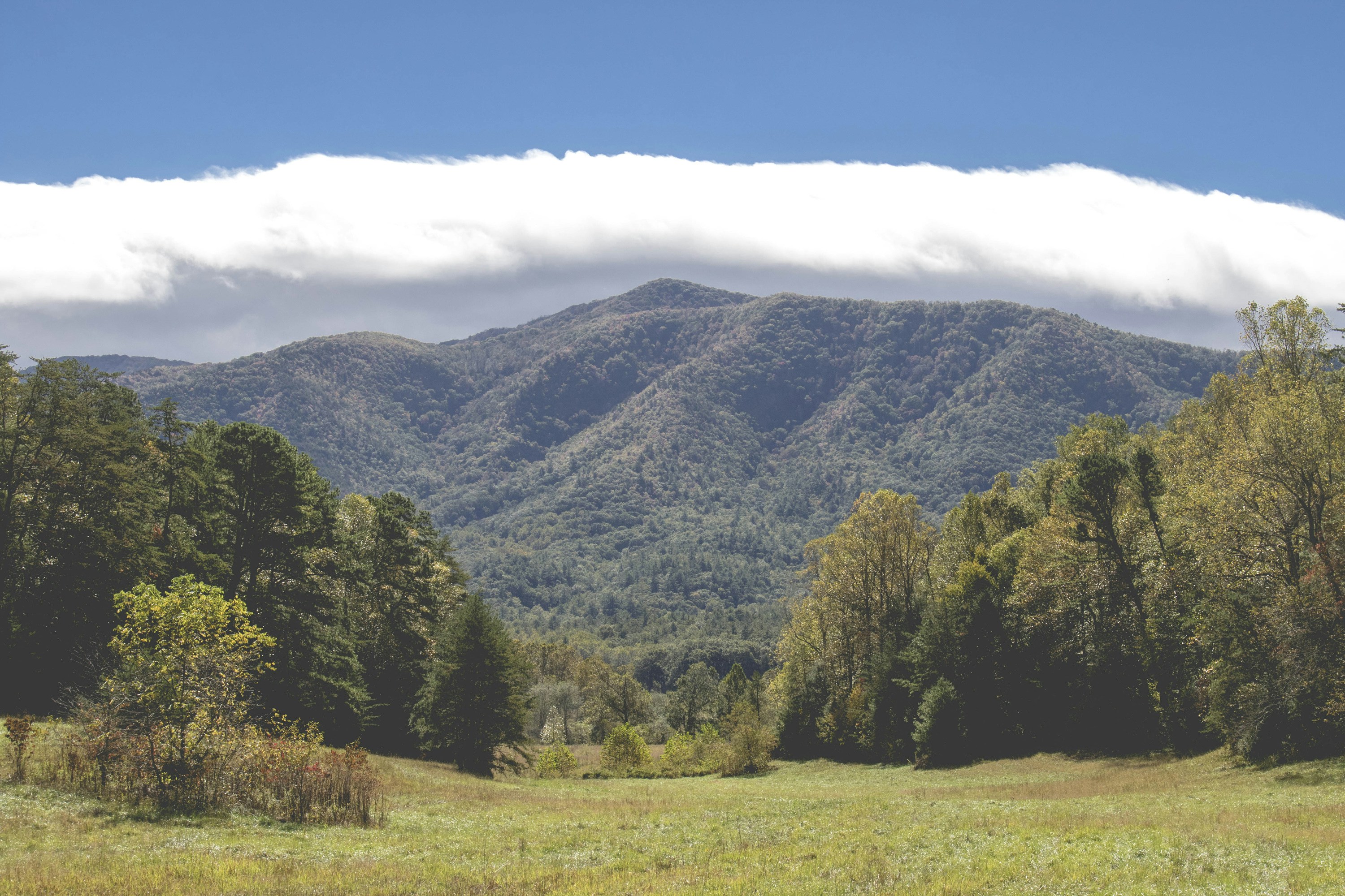 aerial photography of green field viewing mountain under white and blue skies during daytime tennessee teams background