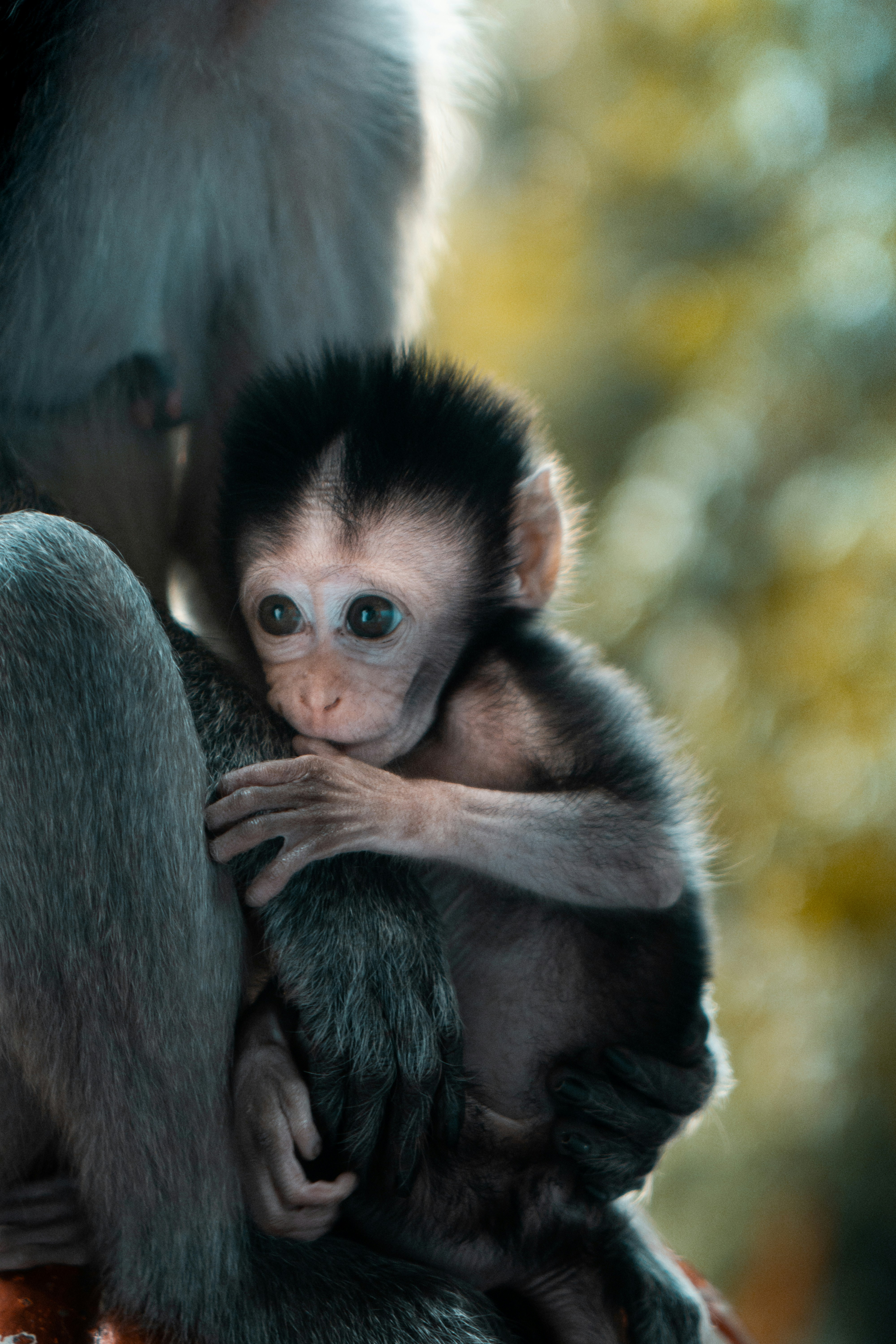 Photo by eduardo_2_gallardo