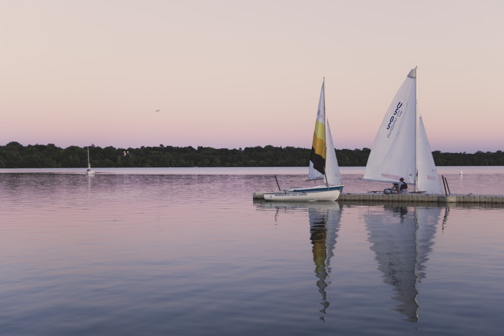 two sailboats on water