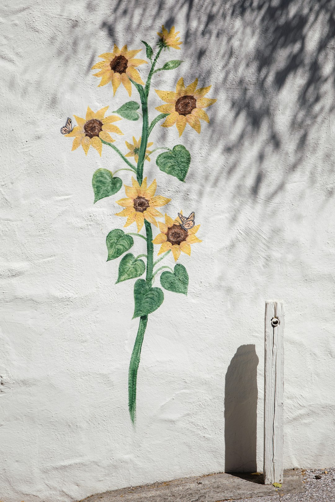 blooming yellow sunflower wall painting