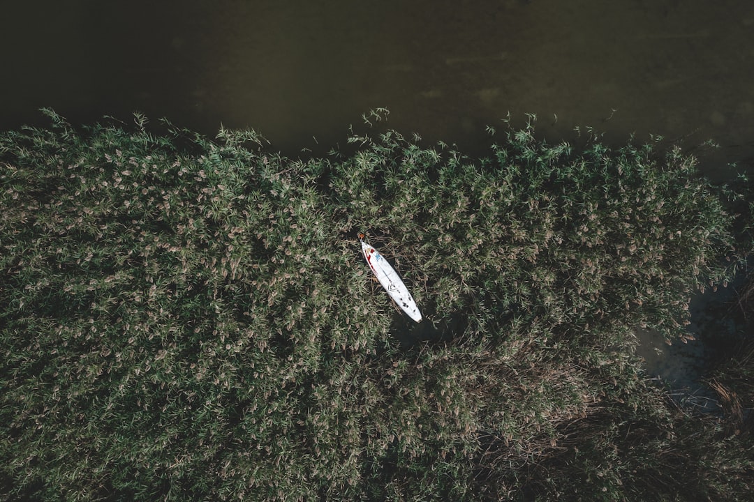 aerial photography of white kayak on green field