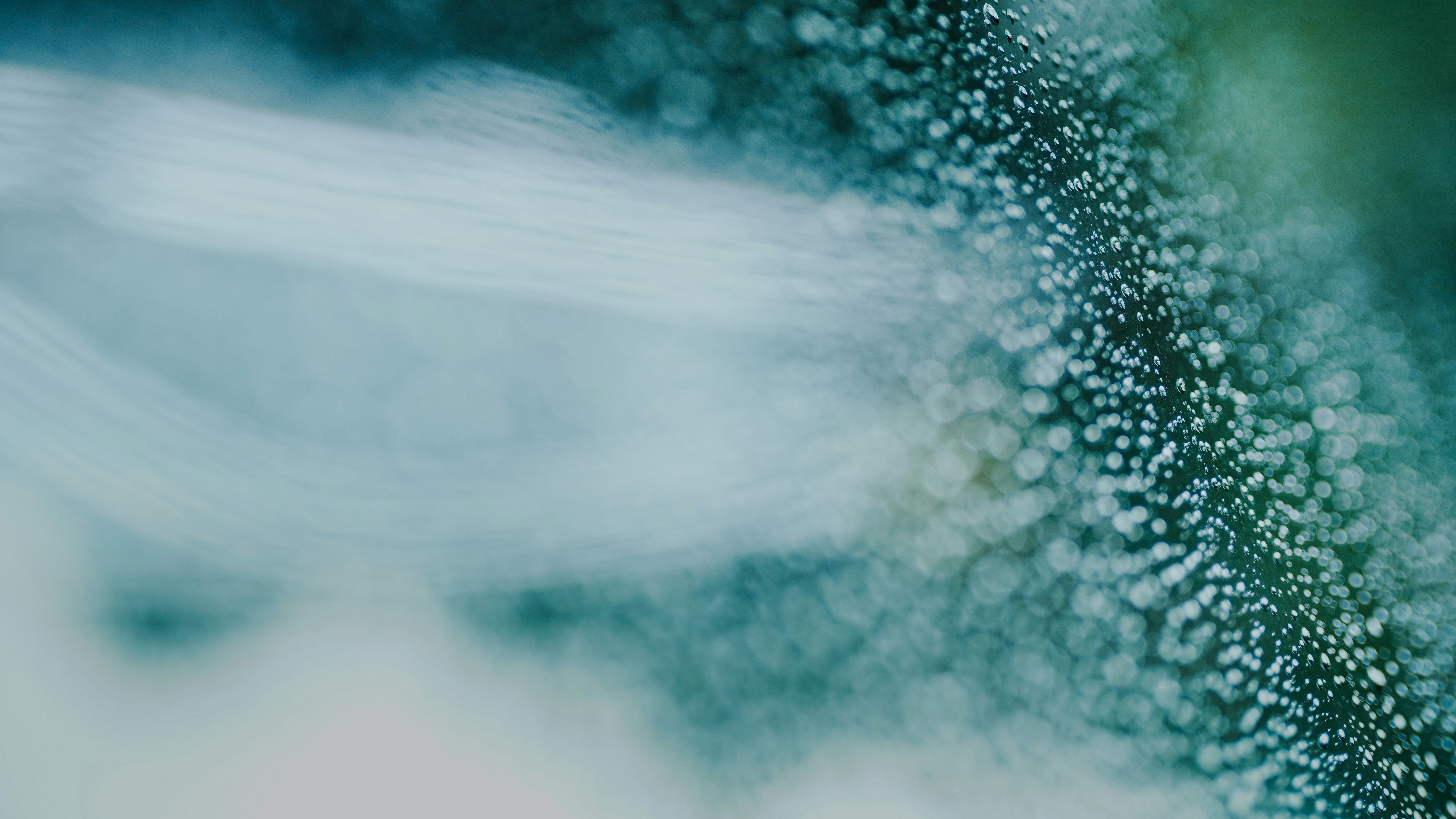 Photo by alvinmahmudov