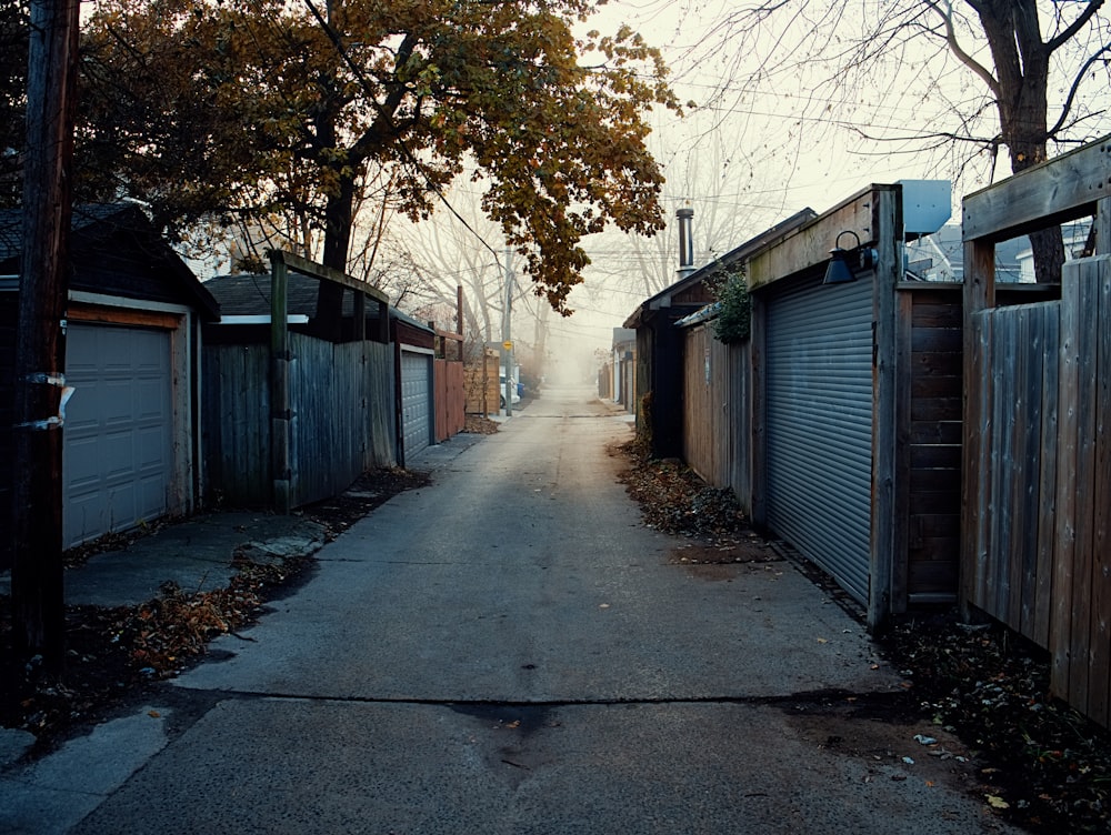 foggy alley