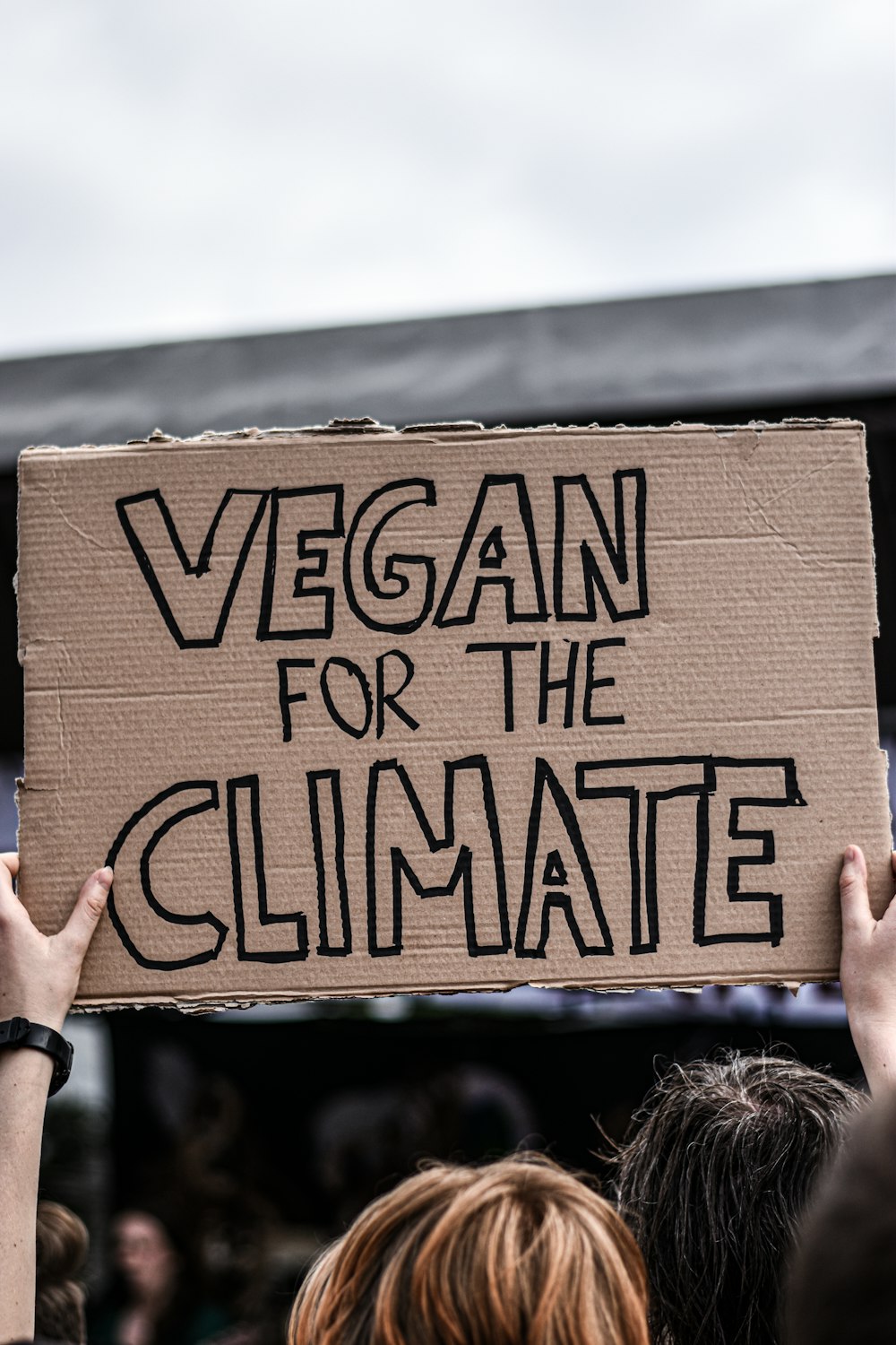 Person mit dem Schild "Vegan für das Klima"