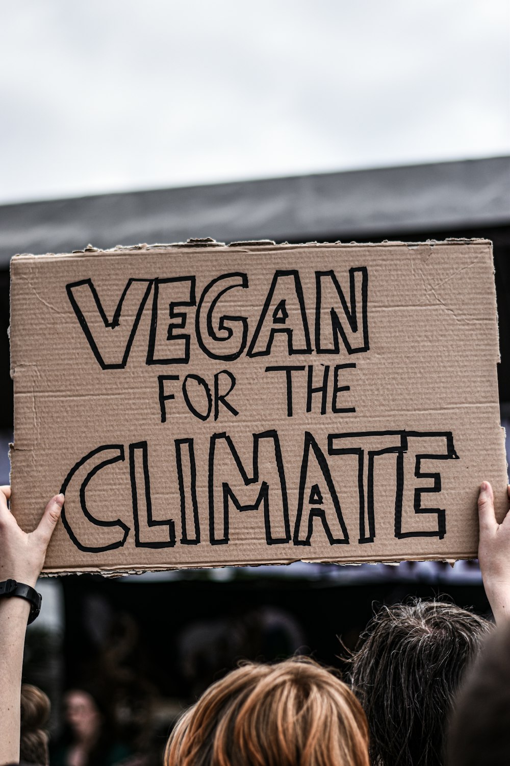 persona que sostiene el cartel de Vegano por el Clima