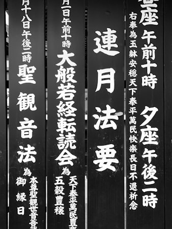 Exploring Japanese Kanji: A Visual Approach to Memory