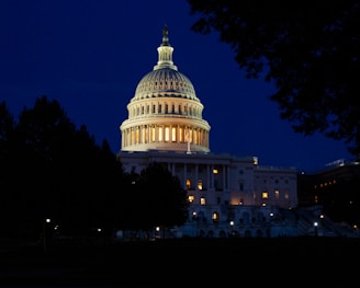 White House under clear sky at night