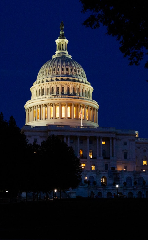 White House under clear sky at night