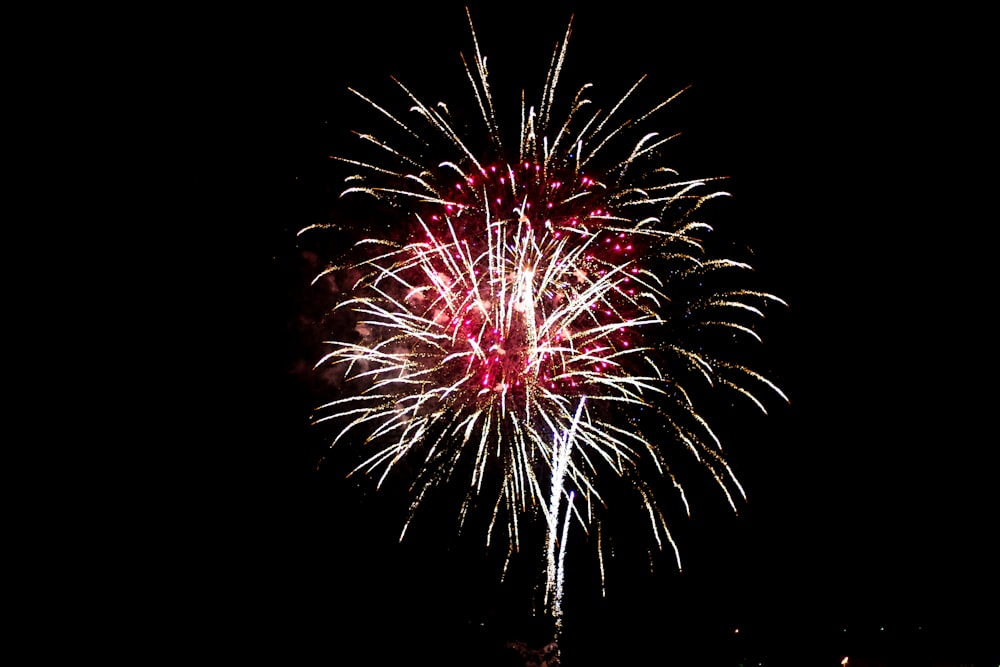 red and white fireworks