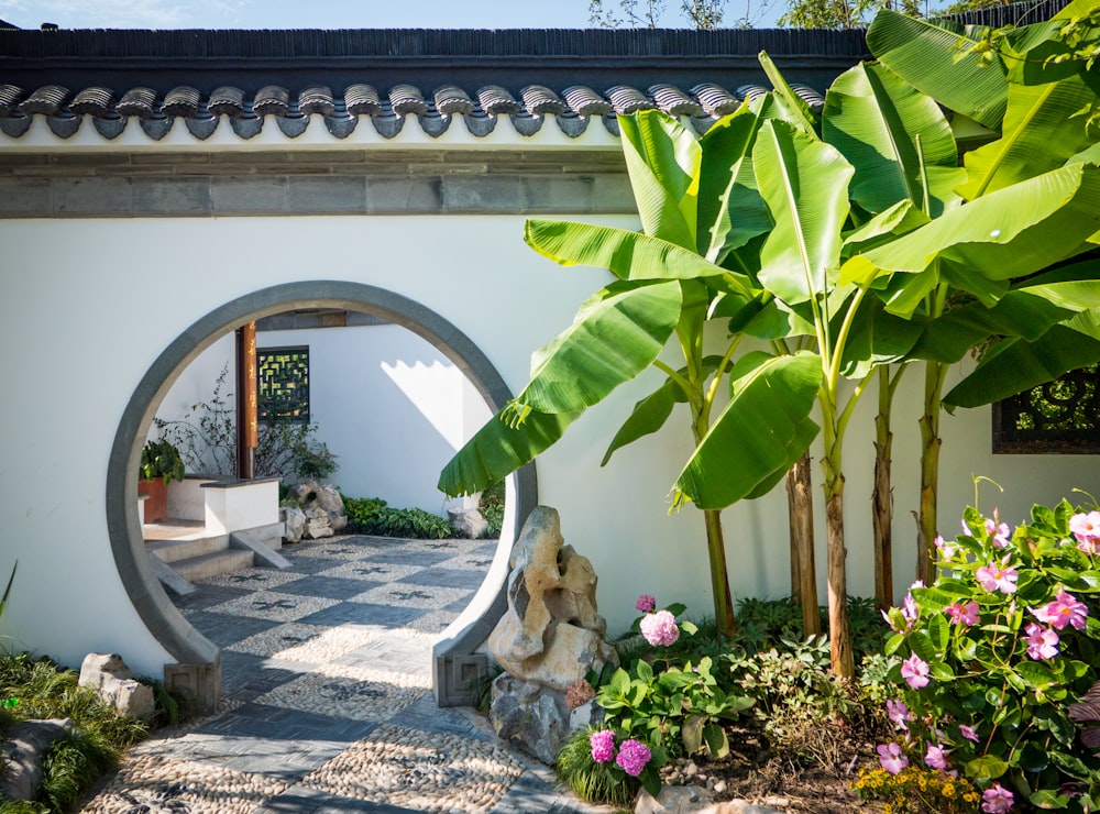 green banana plants in front of entrance