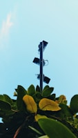 A tall streetlight pole extends upward, surrounded by lush green leaves at the base. The pole carries multiple black floodlights pointing in different directions. The sky is a clear, bright blue, adding a serene backdrop to the scene.