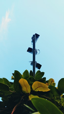 A tall streetlight pole extends upward, surrounded by lush green leaves at the base. The pole carries multiple black floodlights pointing in different directions. The sky is a clear, bright blue, adding a serene backdrop to the scene.