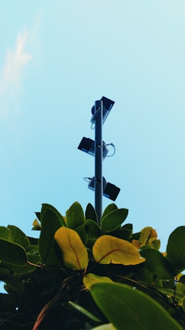 A tall streetlight pole extends upward, surrounded by lush green leaves at the base. The pole carries multiple black floodlights pointing in different directions. The sky is a clear, bright blue, adding a serene backdrop to the scene.