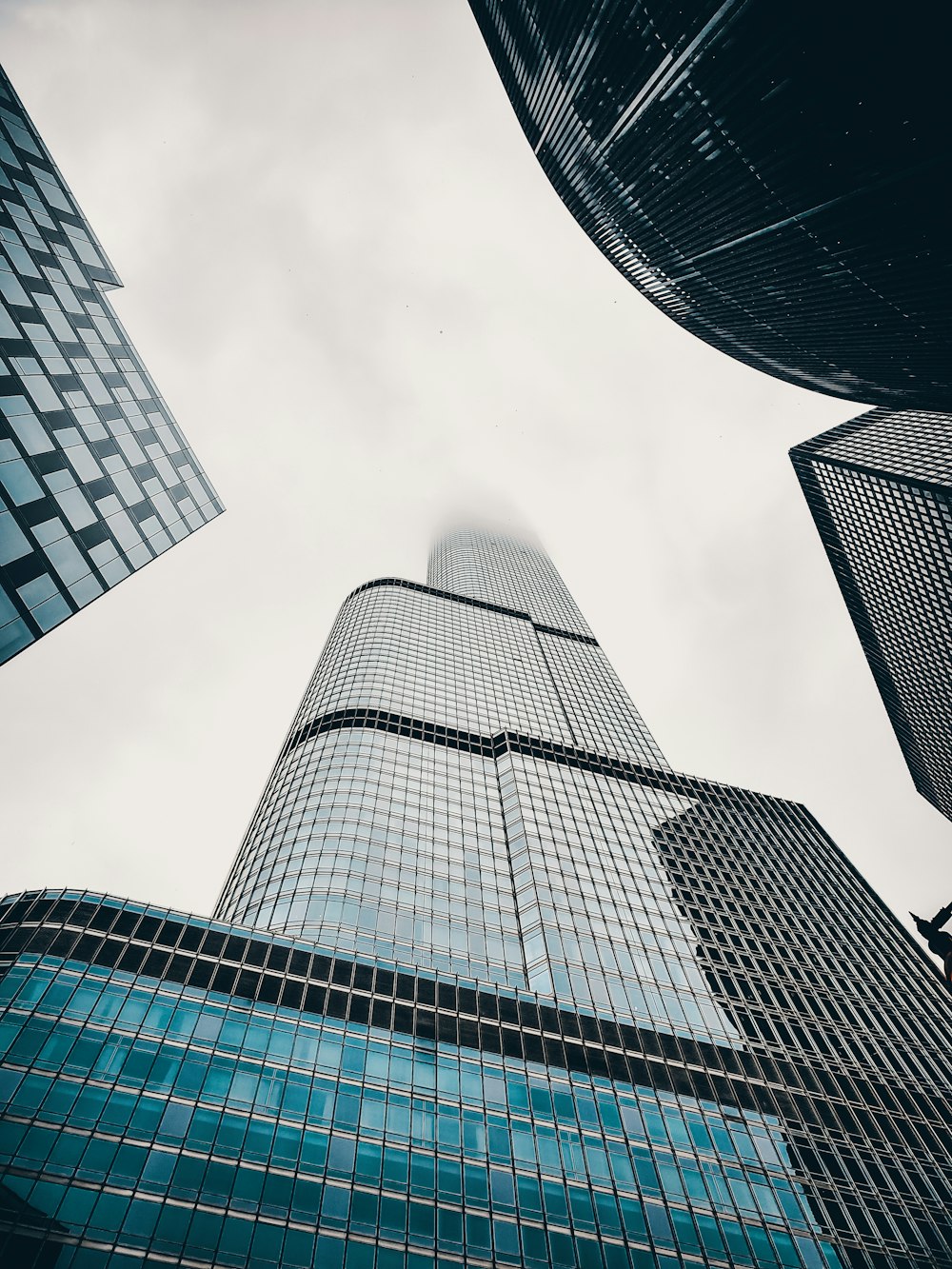 low-angle photography of curtain wall high-rise building during daytime