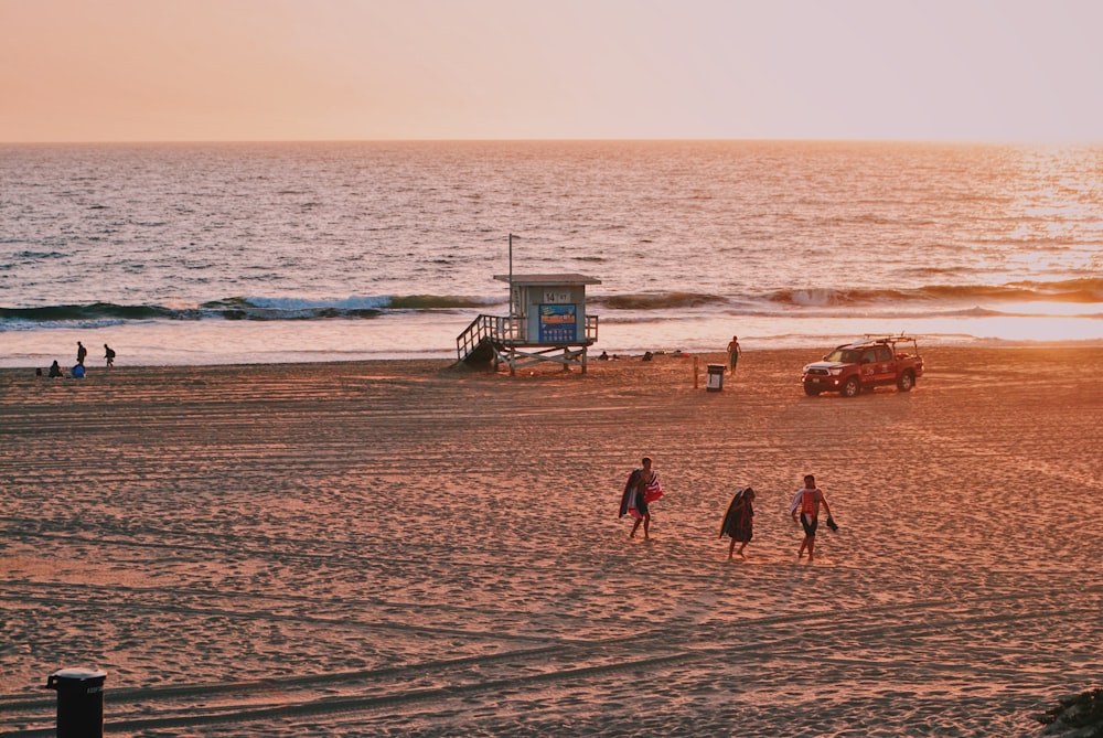 people on seashore