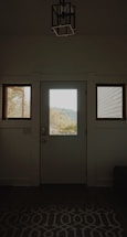 An interior view of a doorway with a windowed door centered between two smaller side windows. Natural light comes through the windows, highlighting a scenic view of trees and hills outside. There is a geometric pattern rug on the floor inside, and a modern light fixture hangs above the door.