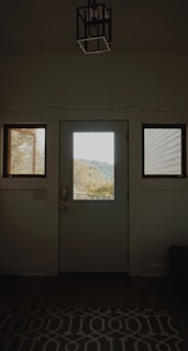 An interior view of a doorway with a windowed door centered between two smaller side windows. Natural light comes through the windows, highlighting a scenic view of trees and hills outside. There is a geometric pattern rug on the floor inside, and a modern light fixture hangs above the door.