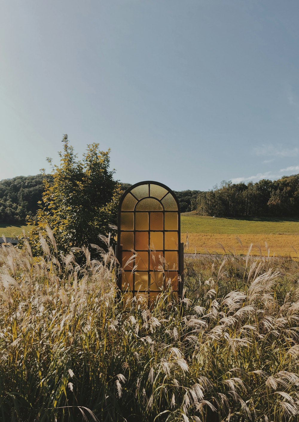 a window sitting in the middle of a field