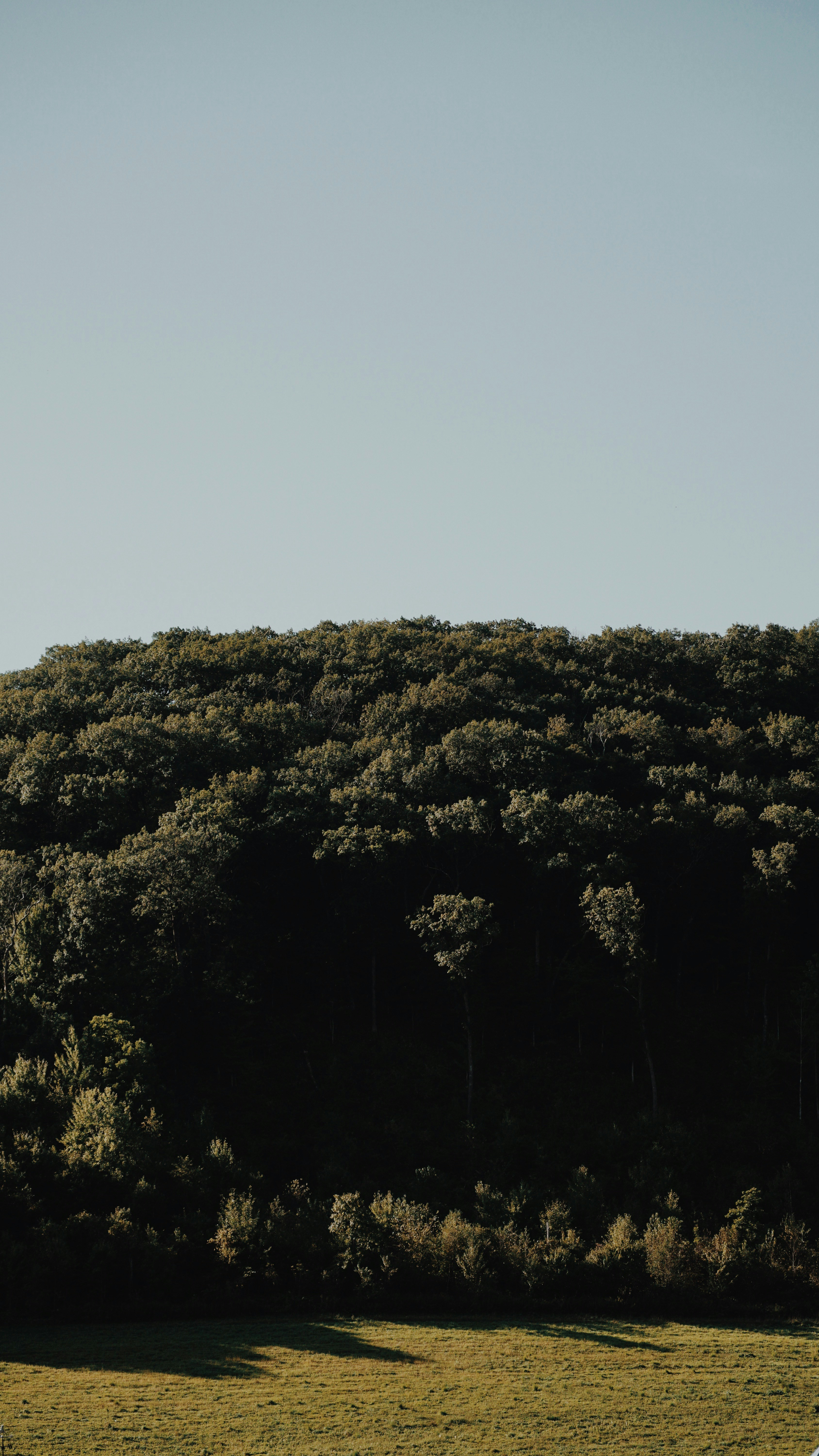 Photo by eternalseconds