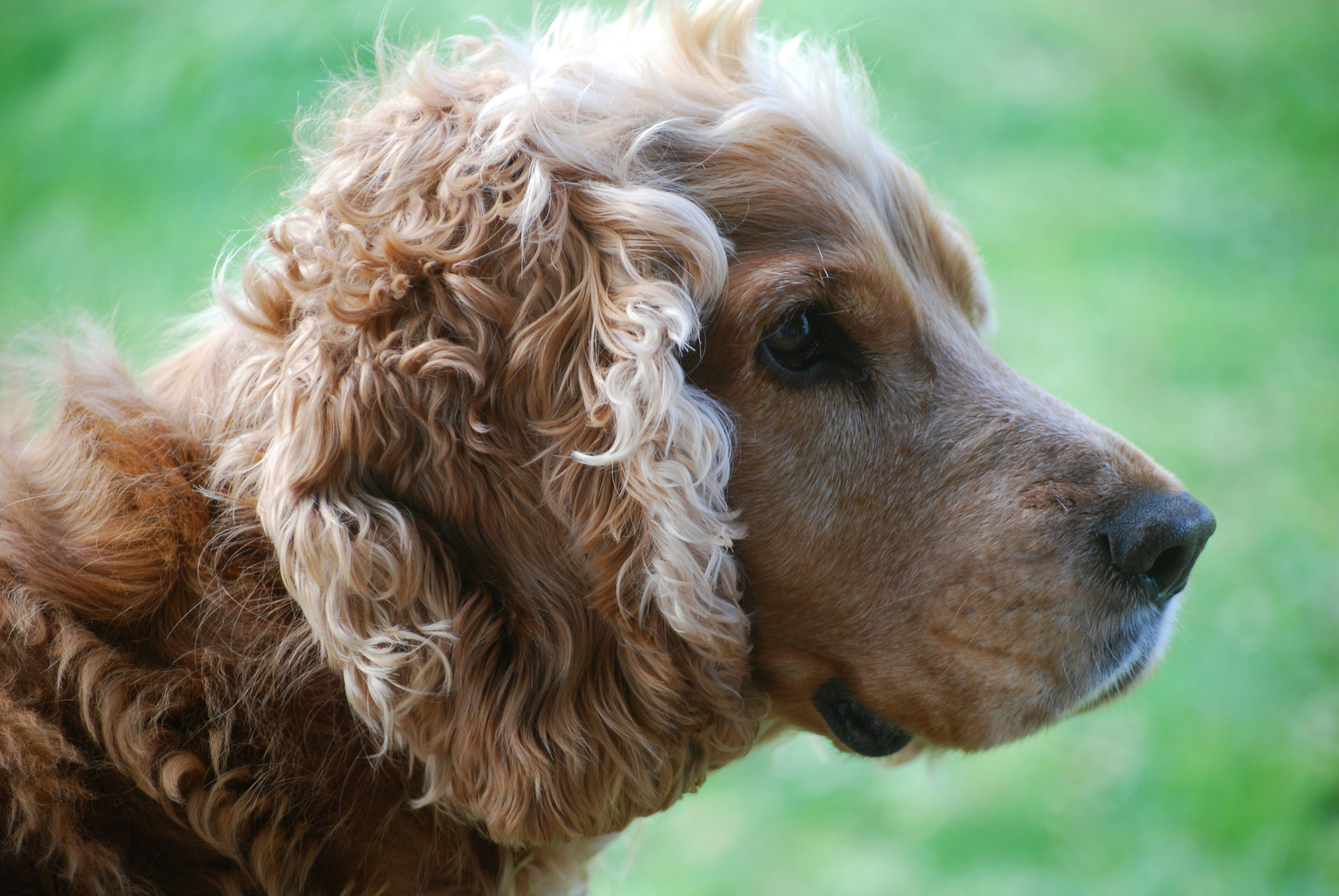 Photo by permaculture16