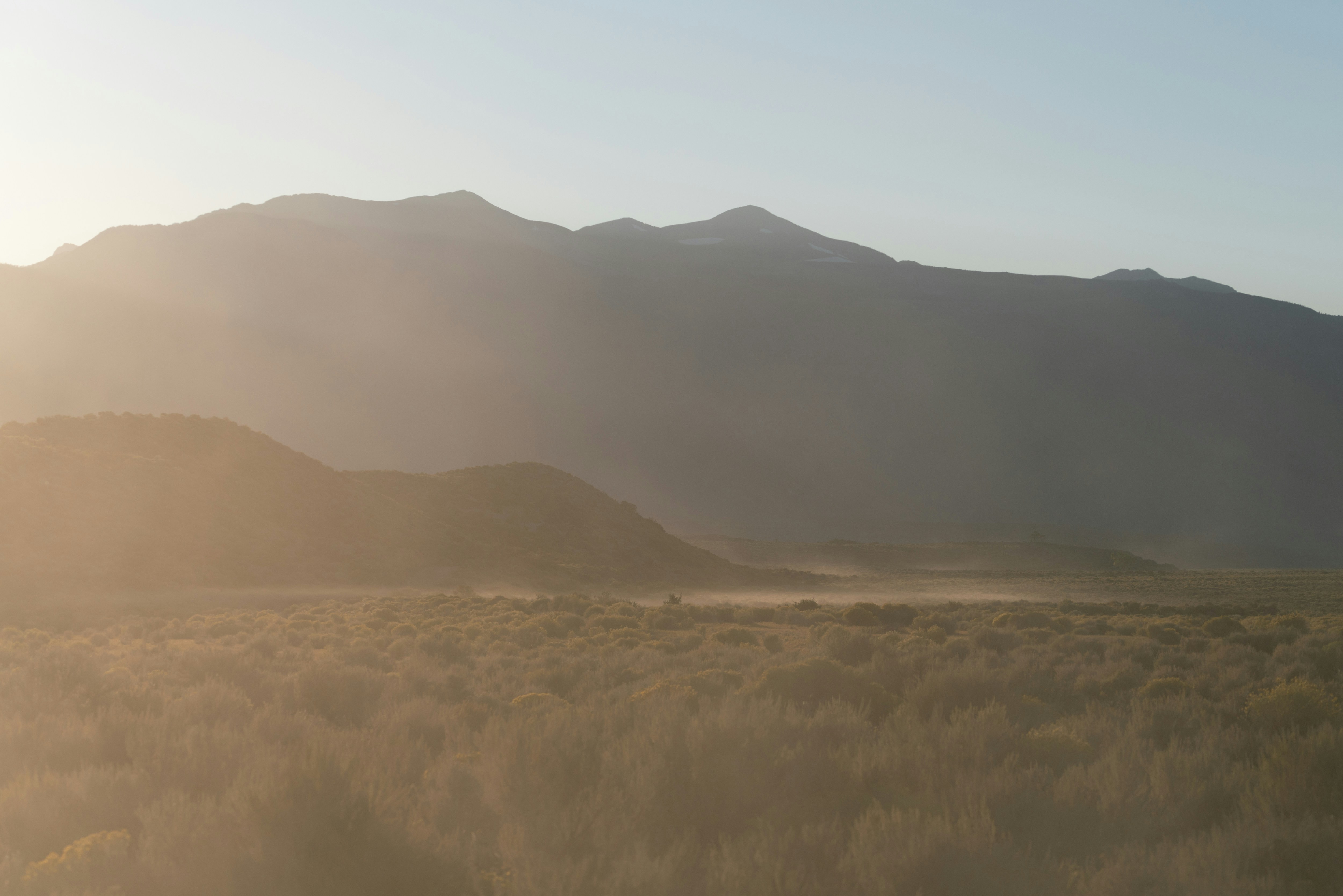 Photo by masonrfield