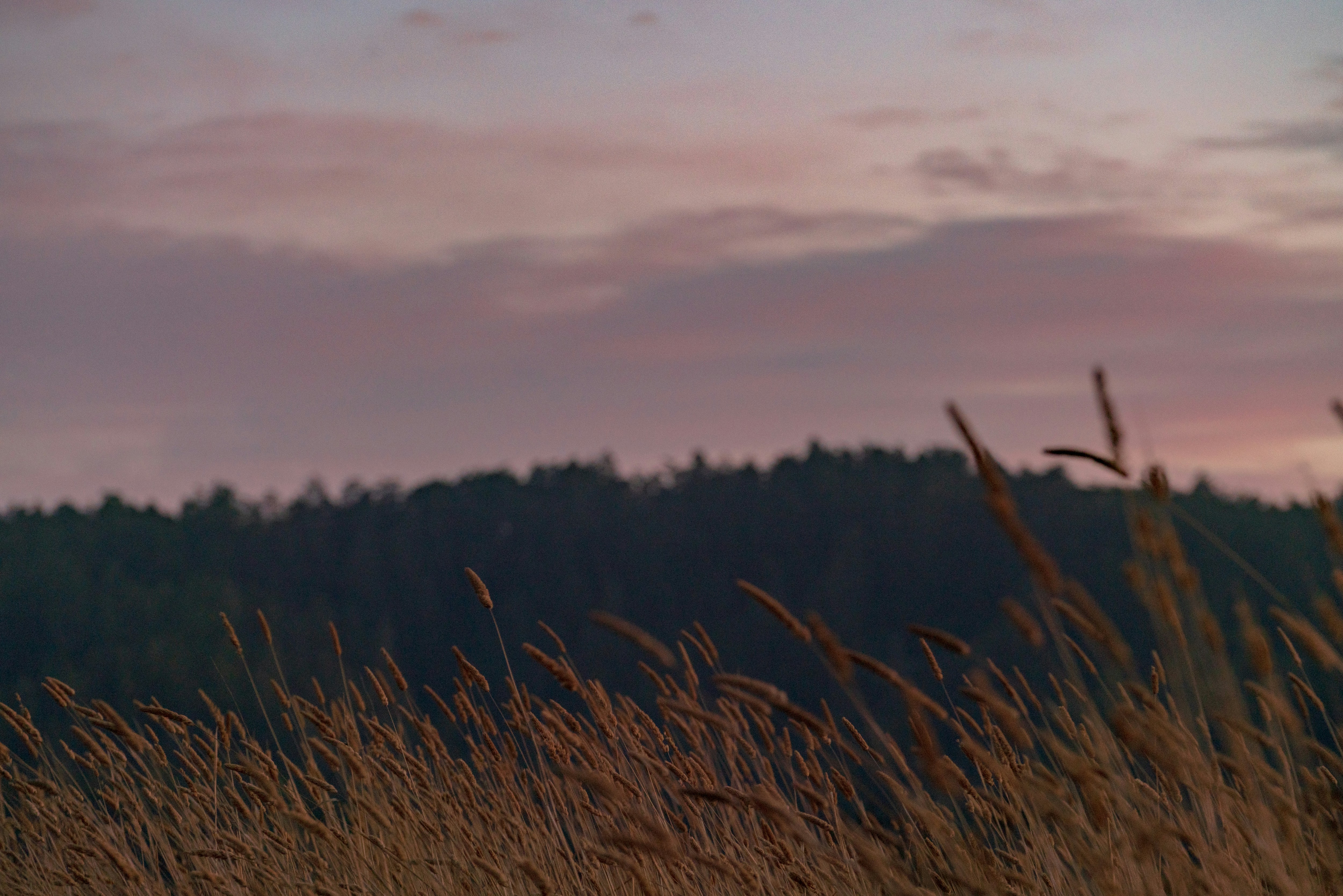 Photo by masonrfield