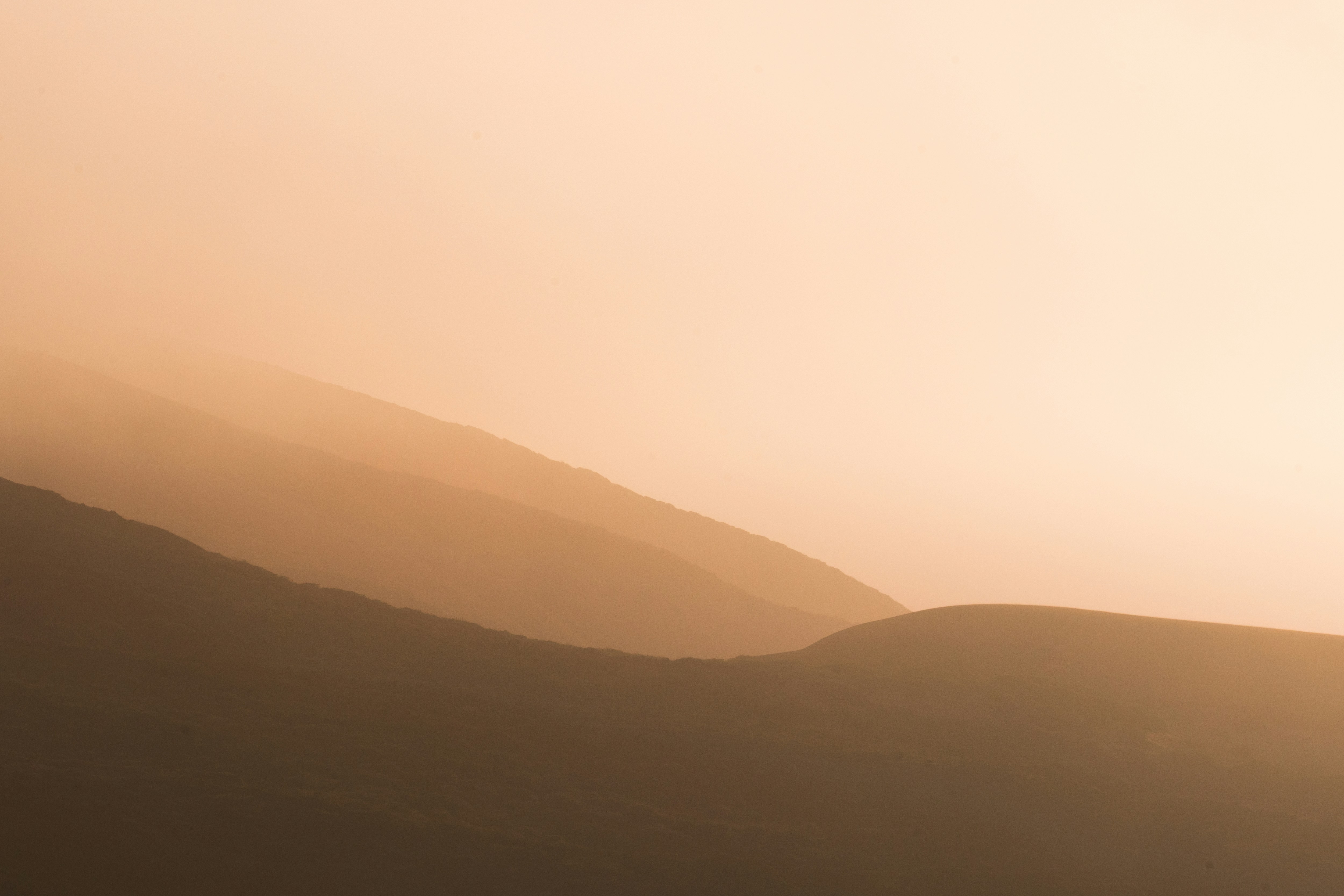 Photo by masonrfield