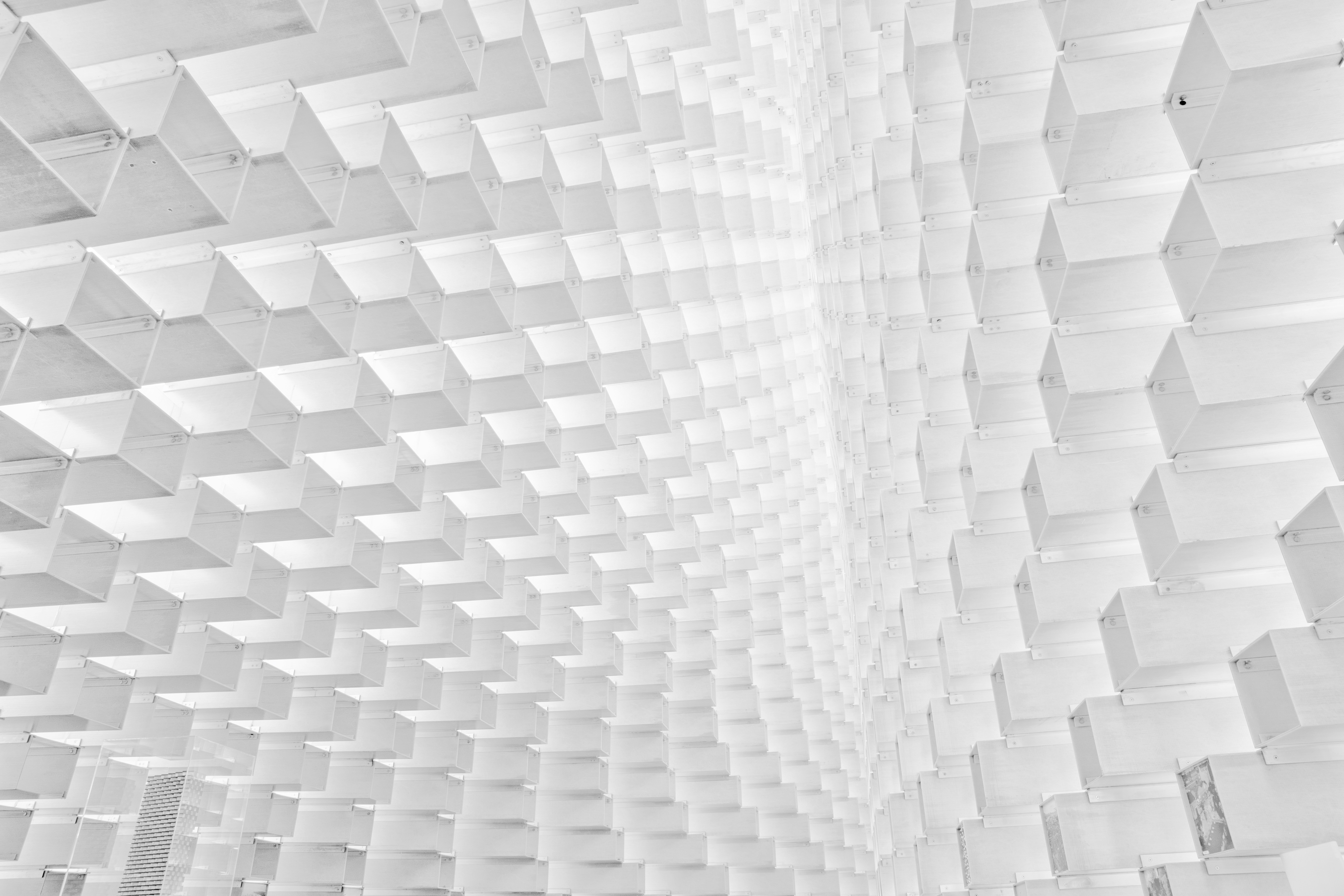 Photo by whiterainforest