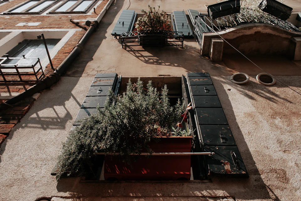 The image shows an aerial view of a narrow street lined with buildings on both sides, including a building with a red door and a black window. The street is adorned with various potted plants and trees, adding greenery to the urban landscape. A large tree stands prominently in the foreground, its branches reaching out over the street.